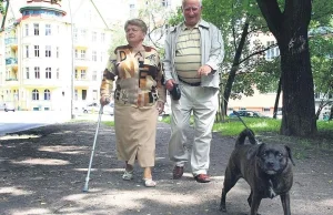 Zdrowy rozsądek na smyczy. Szykuje się awantura o psy.