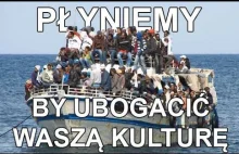 THE BEST OF: Polacy o imigrantach islamskich