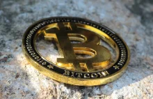 Cena Bitcoina może osiągnąć 64 000 USD w 2019 roku