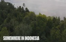 Niesamowita fala pływowa (do 8-10 m) w Indonezji
