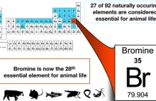 Bez bromu nie ma życia