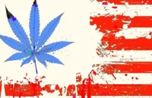 Denver po legalizacji marihuany - wzrost przestępczości o 40%