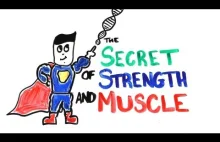 Naukowa tajemnica siły i wzrostu mięśni