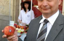 Polska największym eksporterem jabłek na świecie