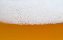 Piwo zwalcza alkoholizm