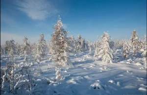 Niesamowita polarna ekspedycja wzdłuż tundry