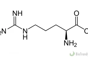 L-arginina – właściwości i zastosowanie
