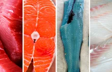 Jakie są przyczyny zróżnicowania kolorystycznego rybiego mięsa?