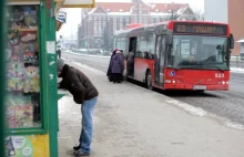 Spłoszony koń galopował przez miasto. Wpadł pod autobus