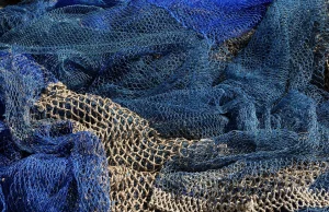 Rybołówstwo przemysłowe objęło ponad połowę Wszechoceanu