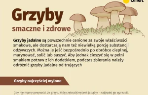 Z onetem lepiej na grzyby się nie wybieraj