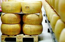 Rząd USA kupił 11 mln funtów sera