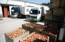 Produkcja 1 kg jabłek kosztuje 1,10 zł, w skupie za ten kilogram płacą 50 gr