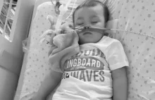 Alfie Evans już nie wzrusza ludzi? Zbeszcześcili miejsce ku jego pamięci