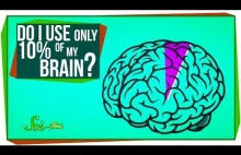 Czy używamy tylko 10% mózgu?
