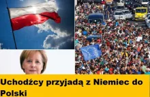 Niemcy wyślą do Polski kilka tysięcy uchodźców. Zgodnie z Konwencją rząd...