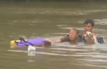 Kobieta wraz z psem zostają uratowani w ostatniej chwili z tonącego samochodu.