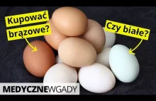 Jajka – kupować białe czy brązowe?