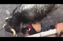 Bull-Runner Knocked Out and Gored by Bull