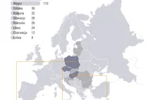 Polska staje się patentowym liderem Europy Środkowo-Wschodniej