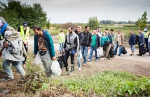 Władze Kungsbacka w Szwecji mieszkańcy zaczną brać uchodźców do swoich domów!