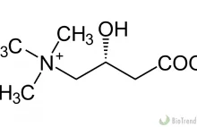 L-karnityna - właściwości i zastosowanie