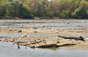 Wody ubywa. Wisła w Warszawie jak górski potok