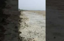 Huragan Irma kradnie ocean u wybrzeży Bahamów!