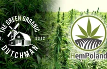 HemPoland podpisało umowę z Green Organic Dutchman Holdings wartą 100mln zł
