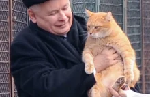 Kaczyński zapowiada zakończenie rzezi zwierząt futerkowych