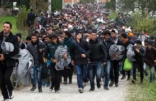 Niemcy nie wiedzą gdzie przebywa co najmniej 140 tys. imigrantów