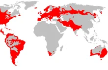 Współczesny zasięg języków indoeuropejskich (aryjskich)