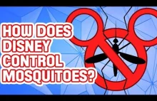 Dlaczego w Disney World nie ma komarów?