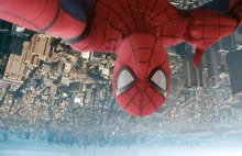 Marvel nie odzyska praw do Spider-Mana