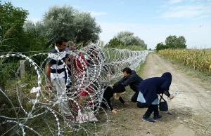 Na granicy z Polską koczuje coraz więcej imigrantów z Tadżykistanu