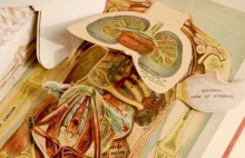 Rozkładane książki do nauki anatomii mają nawet 400 lat..