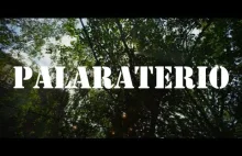 Stöven Brothers - Palaraterio (Original Mix)