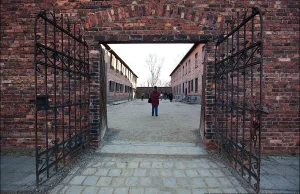 Auschwitz. Fabryka śmierci.