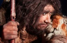Neandertalczykom zawdzięczamy odporność i skłonność do alergii