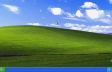 Windows XP wiecznie żywy? Masowo korzysta z niego brytyjska policja