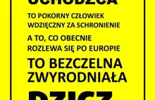 Węgry: Skandaliczne warunki w jakich musieli podróżować uchodźcy