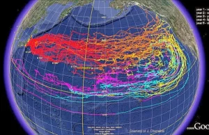 Radiacja z Fukushima dotknęła USA