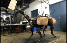 Nowa zabawka od Boston Dynamics