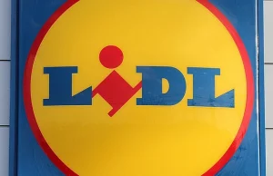 Lidl znowu podnosi wynagrodzenia. Ile można zarobić w dyskoncie?