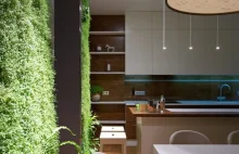 Zielone ściany w kuchni - nowa moda
