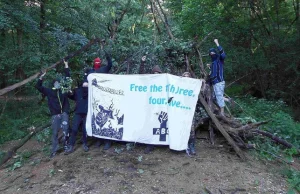 Prastary las Hambach w Niemczech może zostać wycięty. Na jego miejscu...