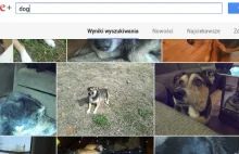 Dobra Google, to już jest nieco przerażające