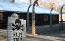 Rocznica wyzwolenia KL Auschwitz-Birkenau. Wprowadzono stopnie alarmowe