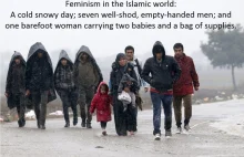 Feminizm w świecie Islamu