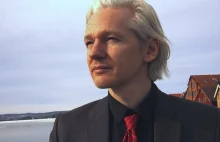 Assange planuje karierę polityczną